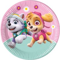 (image for) Paw Patrol Skye & Everest Party Paper Plates 8pk