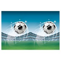 (image for) Football Fans Plastic Tablecover 1pk