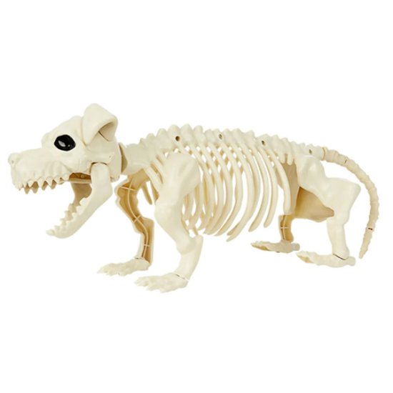 (image for) Dog Skeleton Props