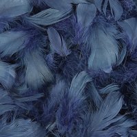 Navy Blue Feathers 50g
