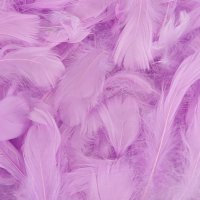 (image for) Pastel Lavender Feathers 50g