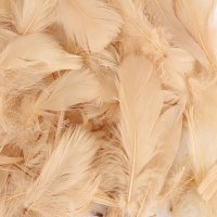 (image for) Blush Feathers 50g