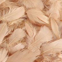 (image for) Natural Feathers 50g