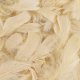 (image for) Pampas Feathers 50g