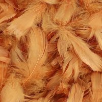 (image for) Copper Feathers 50g