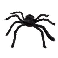Black Hairy Spider