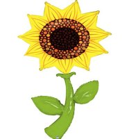 (image for) 5ft Sunflower Fresh Pick Shape Balloons