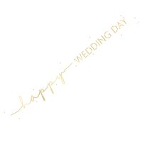 (image for) 9ft Happy Wedding Day Foil Banner