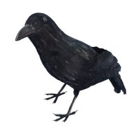 Crow Props