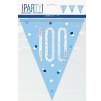 Blue & Silver Glitz Age 100 Flag Banner