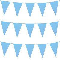 Baby Blue Giant Bunting