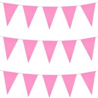 (image for) Pink Giant Bunting