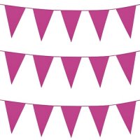 Hot Pink Giant Bunting