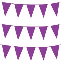 (image for) Purple Giant Bunting
