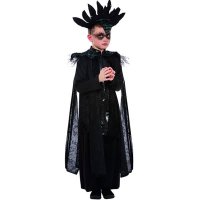 Deluxe Raven Prince Boy Costume