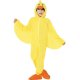 (image for) Duck Costumes