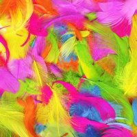 Assorted Colour Feathers