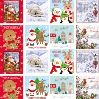 Assorted Christmas Cards 30pk