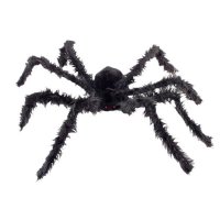 Giant Hairy Spiders