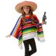 (image for) Multi Coloured Ponchos