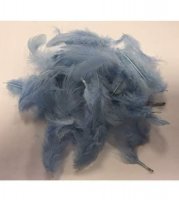 Baby Blue Feathers