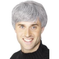 (image for) Grey Modern Man Wigs