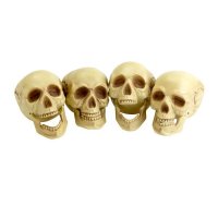 (image for) Skull Head Props