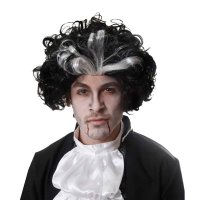 (image for) Male Vampire Wig