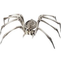 Spider Skeleton Props