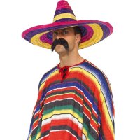 (image for) Large Sombrero Multi Coloured Hat