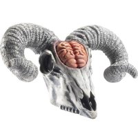(image for) Rams Skull Props