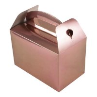 Metallic Rose Gold Party Box 6pk