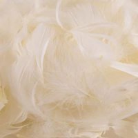 (image for) Ivory Feathers 50g