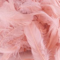 Rose Gold Feathers 50g