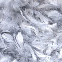 Silver Feathers 50g