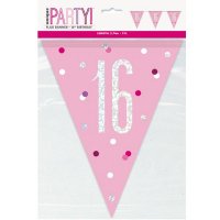 Pink & Silver Glitz Age 16 Flag Banner