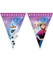 Disney Frozen Triangle Flag Banner