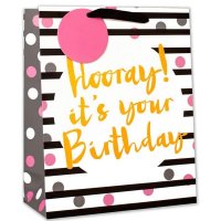 Hooray Its Your Birthday Large Gift Bag