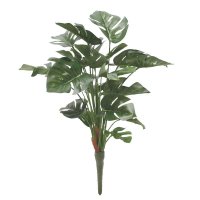 Split Philo Plant 46cm