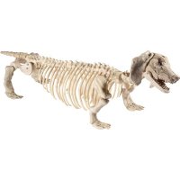 Dachshund Dog Skeleton Props