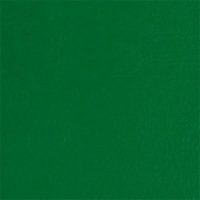 Medium Green Gloss Vinyl 5m