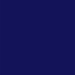 (image for) Deep Navy Matte Vinyl 5m