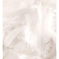 (image for) White Feathers 50g