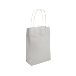 (image for) Silver Paper Party Gift Bags 24pk