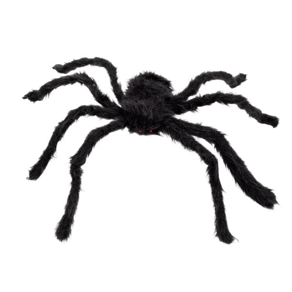 (image for) Black Hairy Spider