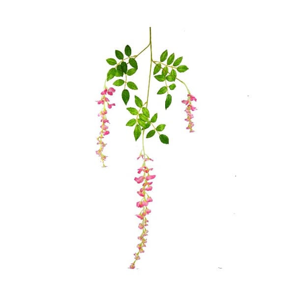 (image for) Pink Bean Flower Trail 6pc