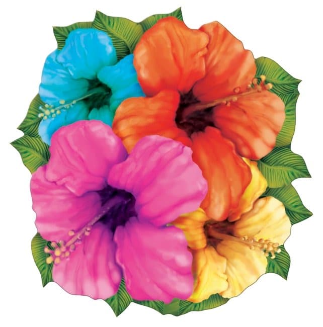 (image for) Hibiscus Coasters 8pk