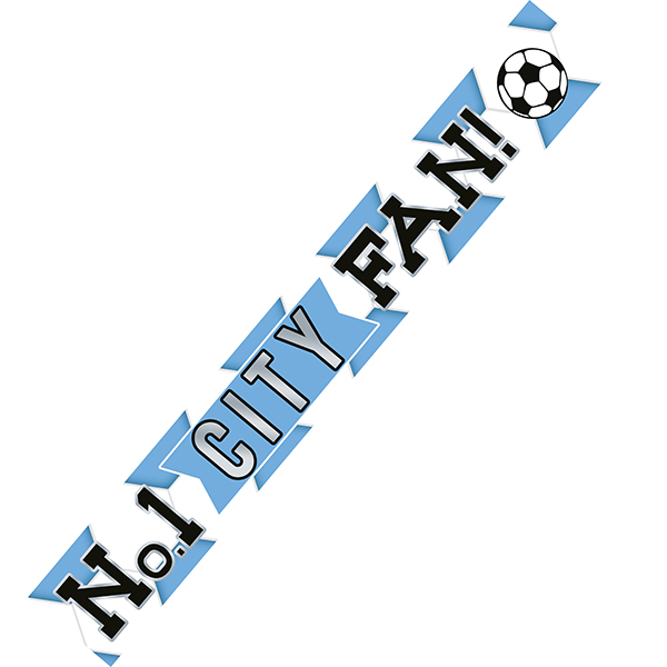 (image for) City Football Banner