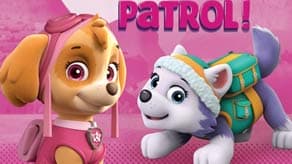 Paw Patrol Pink Themed Parties