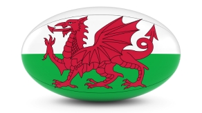 Wales Rugby Themed